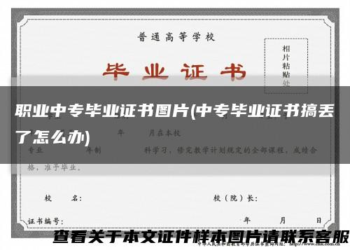 职业中专毕业证书图片(中专毕业证书搞丢了怎么办)缩略图