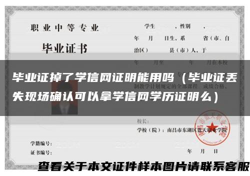 毕业证掉了学信网证明能用吗（毕业证丢失现场确认可以拿学信网学历证明么）缩略图