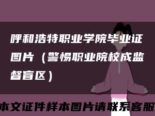 呼和浩特职业学院毕业证图片（警惕职业院校成监督盲区）缩略图