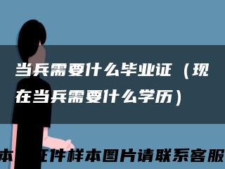 当兵需要什么毕业证（现在当兵需要什么学历）缩略图