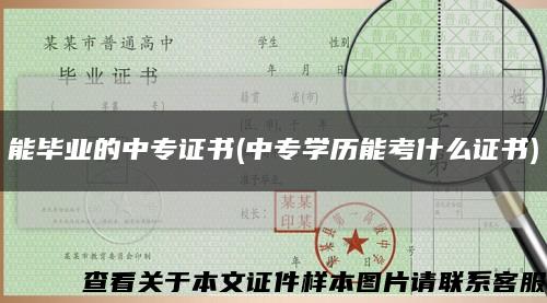 能毕业的中专证书(中专学历能考什么证书)缩略图