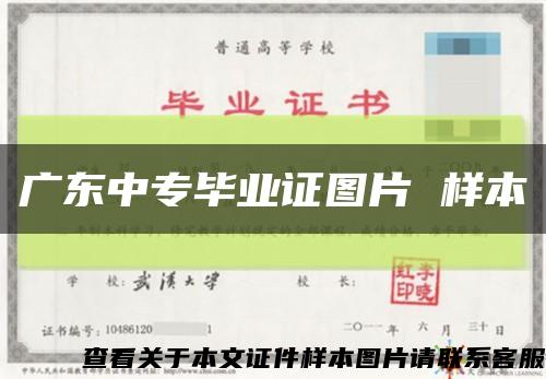 广东中专毕业证图片 样本缩略图