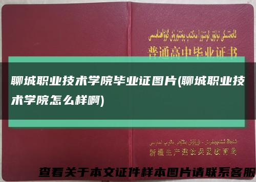 聊城职业技术学院毕业证图片(聊城职业技术学院怎么样啊)缩略图