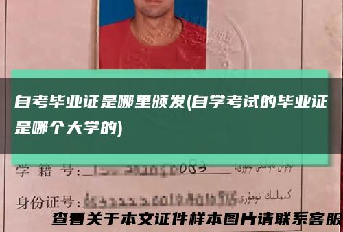 自考毕业证是哪里颁发(自学考试的毕业证是哪个大学的)缩略图