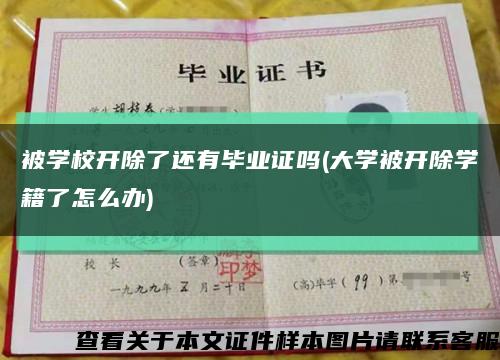 被学校开除了还有毕业证吗(大学被开除学籍了怎么办)缩略图