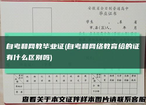 自考和网教毕业证(自考和网络教育给的证有什么区别吗)缩略图