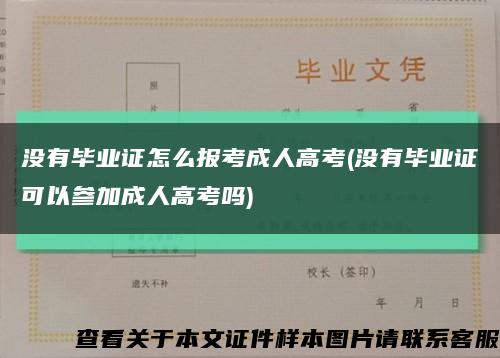 没有毕业证怎么报考成人高考(没有毕业证可以参加成人高考吗)缩略图