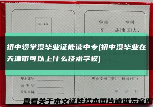 初中辍学没毕业证能读中专(初中没毕业在天津市可以上什么技术学校)缩略图