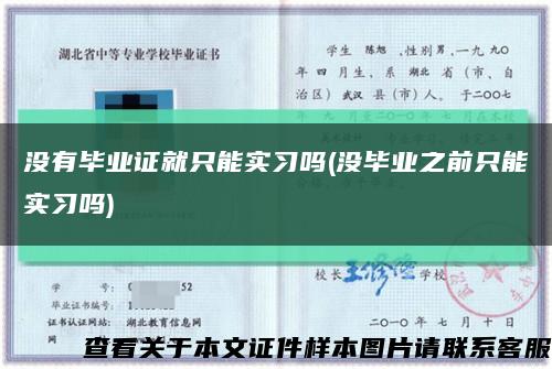 没有毕业证就只能实习吗(没毕业之前只能实习吗)缩略图