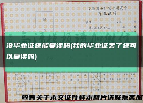 没毕业证还能复读吗(我的毕业证丢了还可以复读吗)缩略图