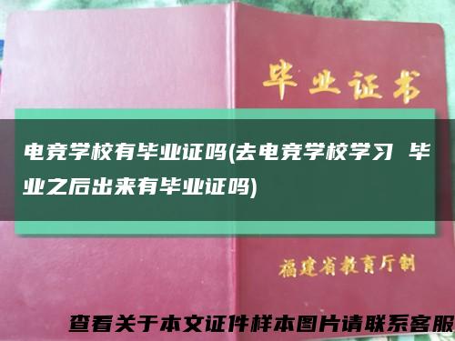 电竞学校有毕业证吗(去电竞学校学习 毕业之后出来有毕业证吗)缩略图