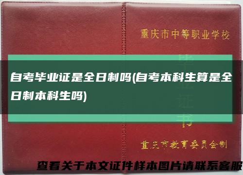 自考毕业证是全日制吗(自考本科生算是全日制本科生吗)缩略图