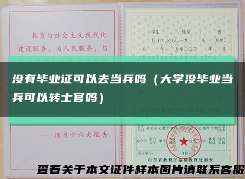 没有毕业证可以去当兵吗（大学没毕业当兵可以转士官吗）缩略图