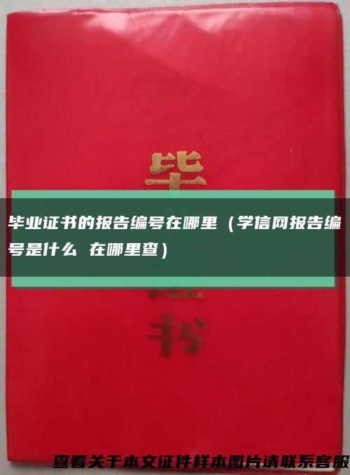 毕业证书的报告编号在哪里（学信网报告编号是什么 在哪里查）缩略图