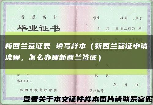 新西兰签证表 填写样本（新西兰签证申请流程，怎么办理新西兰签证）缩略图