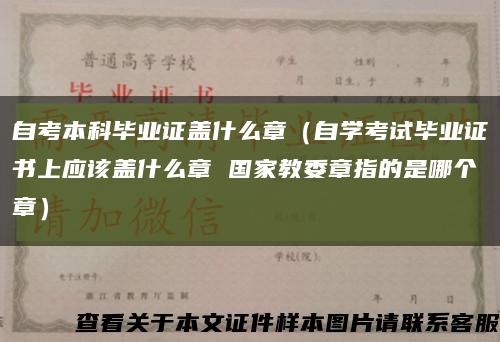 自考本科毕业证盖什么章（自学考试毕业证书上应该盖什么章 国家教委章指的是哪个章）缩略图