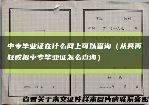 中专毕业证在什么网上可以查询（从具再轻胶根中专毕业证怎么查询）缩略图