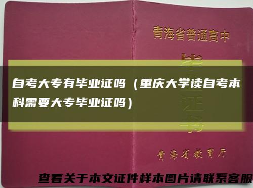 自考大专有毕业证吗（重庆大学读自考本科需要大专毕业证吗）缩略图