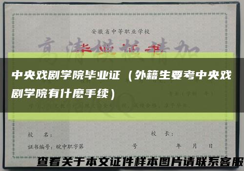 中央戏剧学院毕业证（外籍生要考中央戏剧学院有什麽手续）缩略图