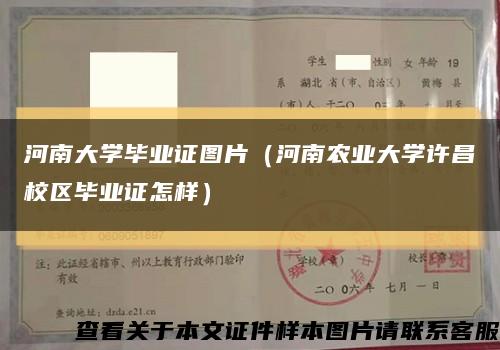 河南大学毕业证图片（河南农业大学许昌校区毕业证怎样）缩略图