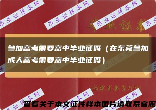 参加高考需要高中毕业证吗（在东莞参加成人高考需要高中毕业证吗）缩略图