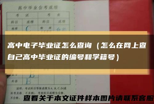 高中电子毕业证怎么查询（怎么在网上查自己高中毕业证的编号和学籍号）缩略图