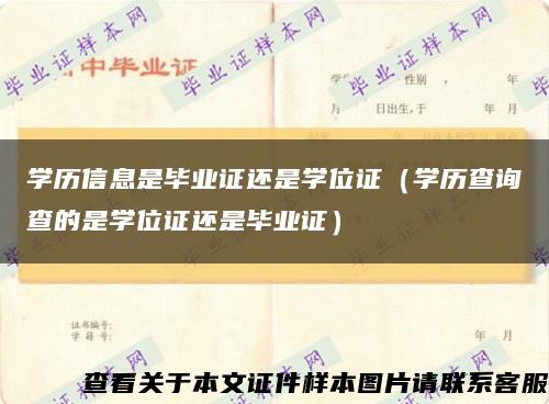 学历信息是毕业证还是学位证（学历查询查的是学位证还是毕业证）缩略图