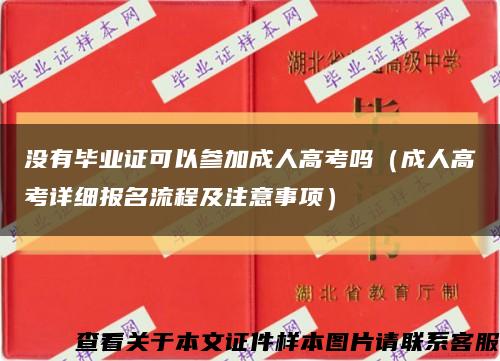 没有毕业证可以参加成人高考吗（成人高考详细报名流程及注意事项）缩略图