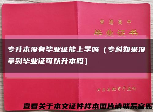 专升本没有毕业证能上学吗（专科如果没拿到毕业证可以升本吗）缩略图