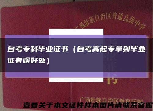 自考专科毕业证书（自考高起专拿到毕业证有啥好处）缩略图