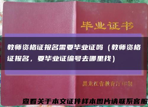 教师资格证报名需要毕业证吗（教师资格证报名，要毕业证编号去哪里找）缩略图