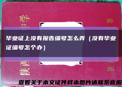 毕业证上没有报告编号怎么弄（没有毕业证编号怎个办）缩略图