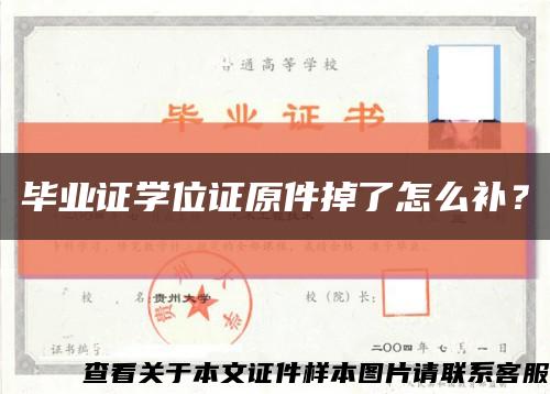 毕业证学位证原件掉了怎么补？缩略图