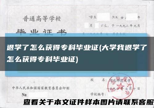 退学了怎么获得专科毕业证(大学我退学了怎么获得专科毕业证)缩略图