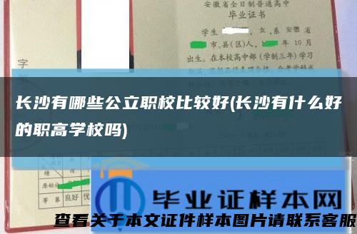 长沙有哪些公立职校比较好(长沙有什么好的职高学校吗)缩略图