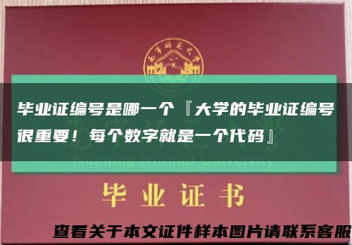 毕业证编号是哪一个『大学的毕业证编号很重要！每个数字就是一个代码』缩略图