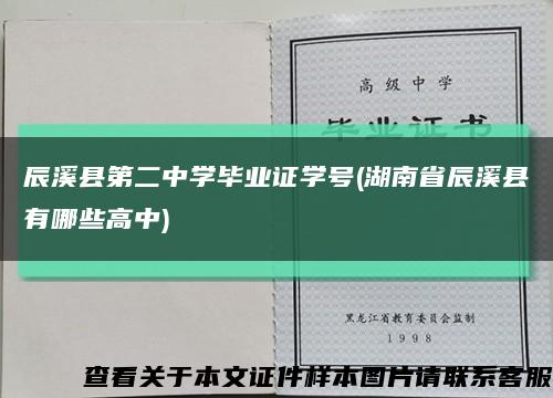 辰溪县第二中学毕业证学号(湖南省辰溪县有哪些高中)缩略图