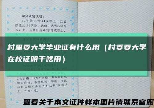 村里要大学毕业证有什么用（村委要大学在校证明干啥用）缩略图