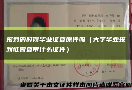 报到的时候毕业证要原件吗（大学毕业报到证需要带什么证件）缩略图