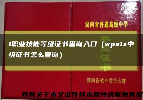 1职业技能等级证书查询入口（wps1x中级证书怎么查询）缩略图