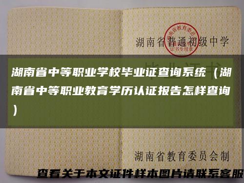 湖南省中等职业学校毕业证查询系统（湖南省中等职业教育学历认证报告怎样查询）缩略图