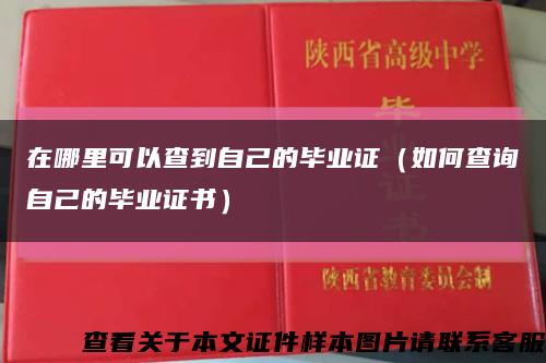 在哪里可以查到自己的毕业证（如何查询自己的毕业证书）缩略图