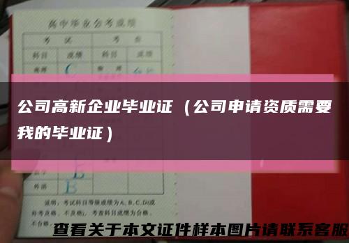 公司高新企业毕业证（公司申请资质需要我的毕业证）缩略图