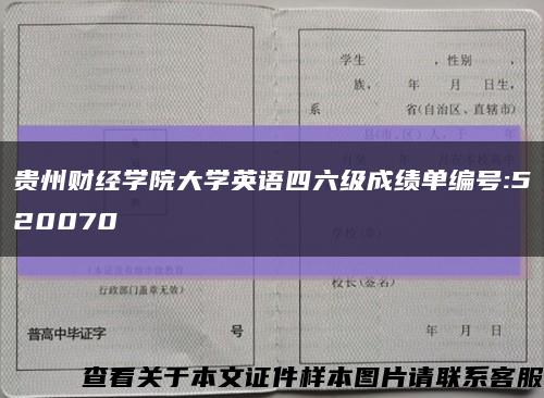 贵州财经学院大学英语四六级成绩单编号:520070缩略图