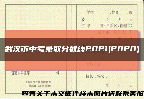 武汉市中考录取分数线2021(2020)缩略图