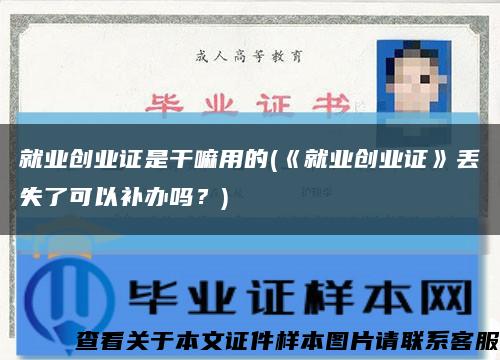 就业创业证是干嘛用的(《就业创业证》丢失了可以补办吗？)缩略图