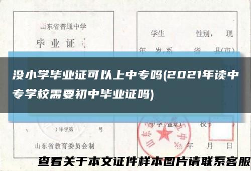 没小学毕业证可以上中专吗(2021年读中专学校需要初中毕业证吗)缩略图