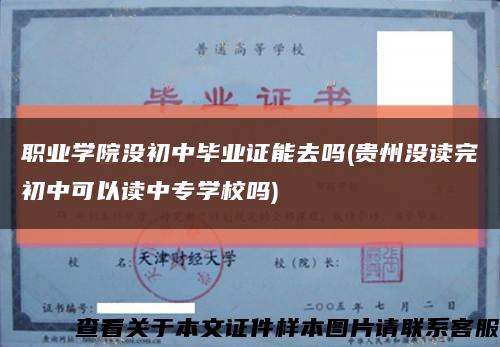 职业学院没初中毕业证能去吗(贵州没读完初中可以读中专学校吗)缩略图