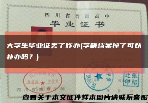 大学生毕业证丢了咋办(学籍档案掉了可以补办吗？)缩略图