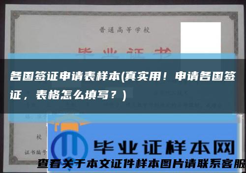 各国签证申请表样本(真实用！申请各国签证，表格怎么填写？)缩略图